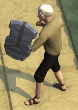 A player with a Polished Stone Shield equipped.