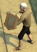 A player with a Stone slab Shield equipped.