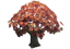 Ash Tree.png