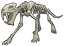 Average Sabertooth Cat Skeleton.png