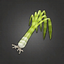 Banded Leek.png