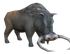 Banded Wild Boar.png