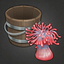 Beadlet Anemone.png