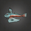 Bigeye Gurnard.png