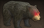 Black Bear.png