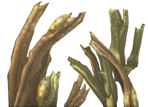 Bladder Wrack (skill node).png