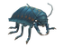 Blotchy Street Louse