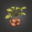 Calystra Potato.png