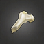 Chunky Femur Shard.png