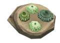 3 × Common Limpet