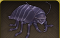 5 × Creepy Street Louse