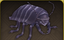 Creepy Street Louse.png