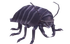 Creepy Street Louse.png