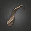 Crooked Goat Horn.png