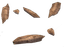 Dappled Bone Spike (skill node).png