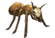 Drone Giant Ant