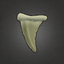 Dull Metallic Tooth.png