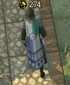 A player wearing an Expert Guard Cape