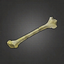 Fine Tibia.png