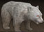 Gray Bear.png