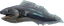 Gray Eel (skill node).png