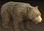 Grizzly Bear.png