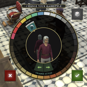 Hairdresser interface.png