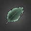 Hairy Dock Leaf.png