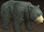 Hungry Bear.png