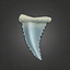 Jagged Metallic Tooth.png