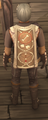 A player wearing a Journeyman Bonewright Cape.