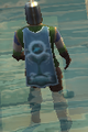 A player wearing a Journeyman Fisher Cape.