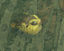 Lemon Pufferfish (skill node).png