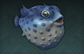 6 × Lonely Pufferfish