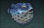 Lonely Pufferfish (skill node).png