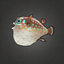 Merry Old Pufferfish.png