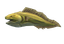 Moray Eel (skill node).png