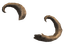 Mottled Rams Horn (skill node).png