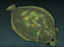 Olive Flounder (skill node).png