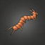 Orange Centipede.png