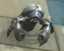 Pearlcap Crab.png