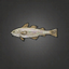 Pearly Cod.png