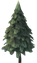 Pine Tree.png