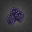 Purple Hogberries.png