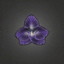 Purple Orchid.png