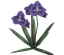 Purple Orchid (skill node).png