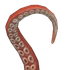 Red Sucker Floor Tentacle.png