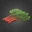 Rhubarb.png