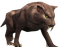 Rockblend Sabertooth Tiger.png