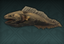 Rocky Eel (skill node).png